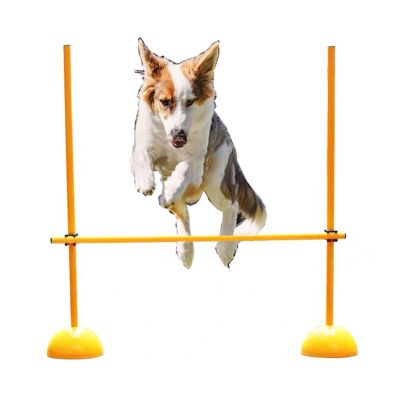 CMYUN Dog Jumping Training Exercise Equipment/Soccer Agility Poles with Base, Speed Agility Hurdles for Adult Kids, Adjustable Track & Field Hurdle(150cm(59"))