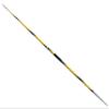 Silver Arrow Competition Javelin for Women,600g High School Throwing Javelin (Yellow Black) view 1