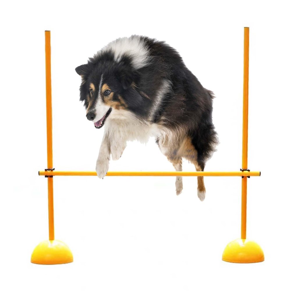 CMYUN Portable Dog Agility Training Equipment/Horse Dog Jumping Hurdles, Adjustable Obstacle Hurdles with Base, Speed Agility Hurdles for Soccer(150cm(59"))