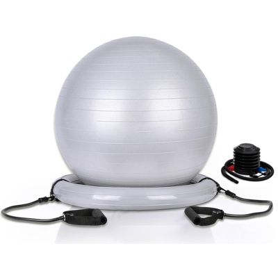 Exercise Ball Chair with Resistance Bands, Home Office Yoga Ball Stability Base Kits for Fitness Pregnancy Physical Therapy, 55 65 75cm Balance Ball Posture Chair(Gray,Diameter 65cm(25 3/5 inch))