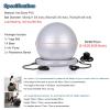 Exercise Ball Chair with Resistance Bands, Home Office Yoga Ball Stability Base Kits for Fitness Pregnancy Physical Therapy, 55 65 75cm Balance Ball Posture Chair(Gray,Diameter 65cm(25 3/5 inch)) view 3