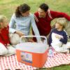 Aqur2020 8L Insulated Portable Cooler, Efficient Warm Cold Insulation Cooler Box for Camping Picnic Beach Drink Beverage Fishing, Made of Premium Plastic Material (Orange), Aqur2020b948w52nxq-13 view 4