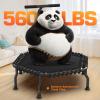 ANCHEER 50" Foldable Fitness Trampoline for Adults & Kids, 550 lbs Capacity Bungee Rebounder with Adjustable Handle, Quiet Cardio Workout Equipment for Home Gym, Low Impact Training Indoor/Outdoor Use view 2