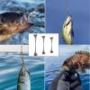 FREGITO 50pcs Stainless Steel Fishing Leaders, Fishing Leader Line with Swivels and Clips for Saltwater and Freshwater, 31LB Per Piece, 7.87inches(50pcs). view 4