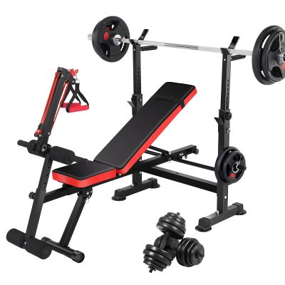 6 in 1 Professional Weight Bench Set with Squat Rack Strength Training Equipment
