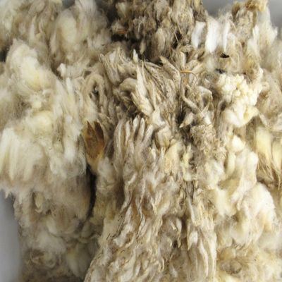 Generic Sheep Wool Trapping Supplies Natural Lure Scent Holder
