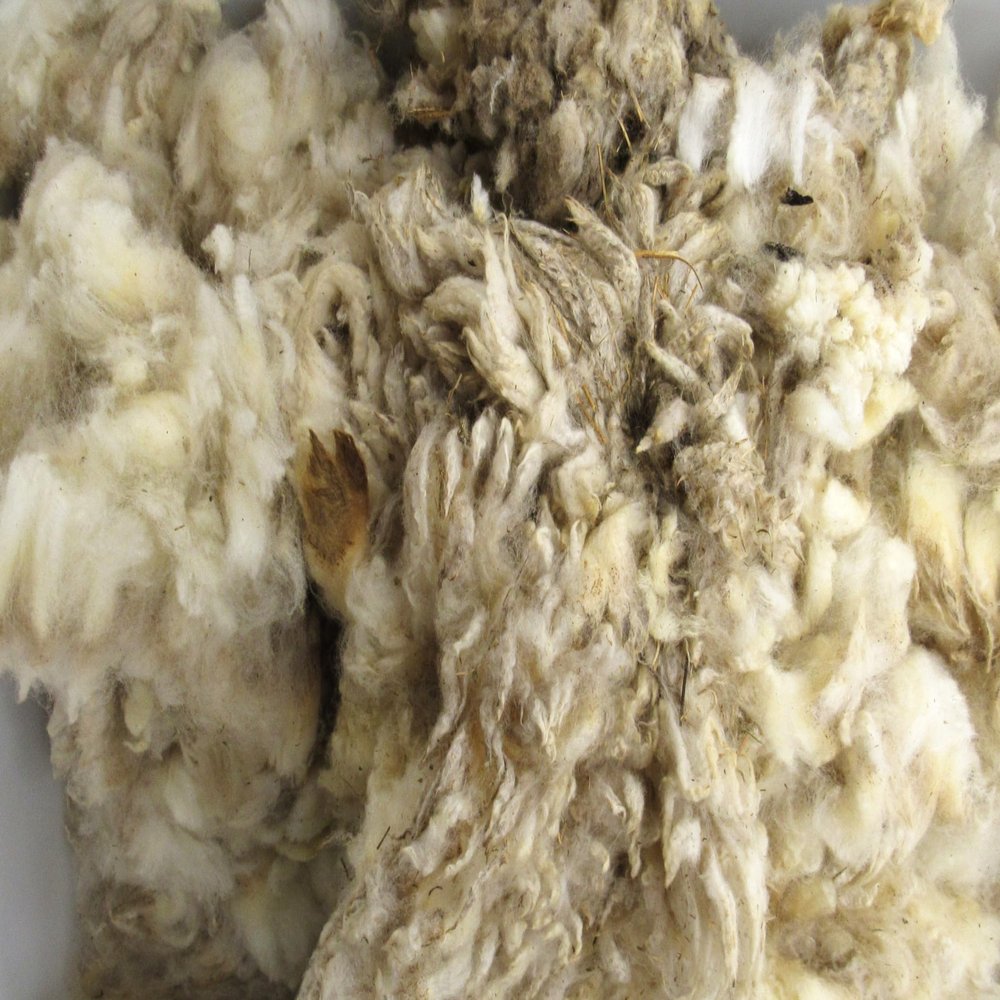 Generic Sheep Wool Trapping Supplies Natural Lure Scent Holder