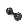 CAP Barbell Cast Iron Hex Dumbbell, Black, Single, 10 lb view 1
