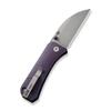 WeKnife Banter Wharncliffe Pocket Knife for EDC, Ben Petersen Folding Knife with 2.85" CPM S35VN Steel Blade Canvas Micarta Handle, Titanium Thumb Stud Opener WE19068J-2 (Purple) view 2