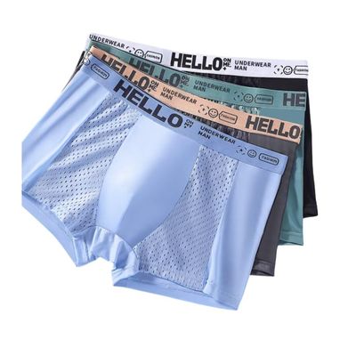 Anomocia 4Pcs Men's Mesh Ice Silk Underwear Box Briefs Breathable Underwear Trunks Underpanties