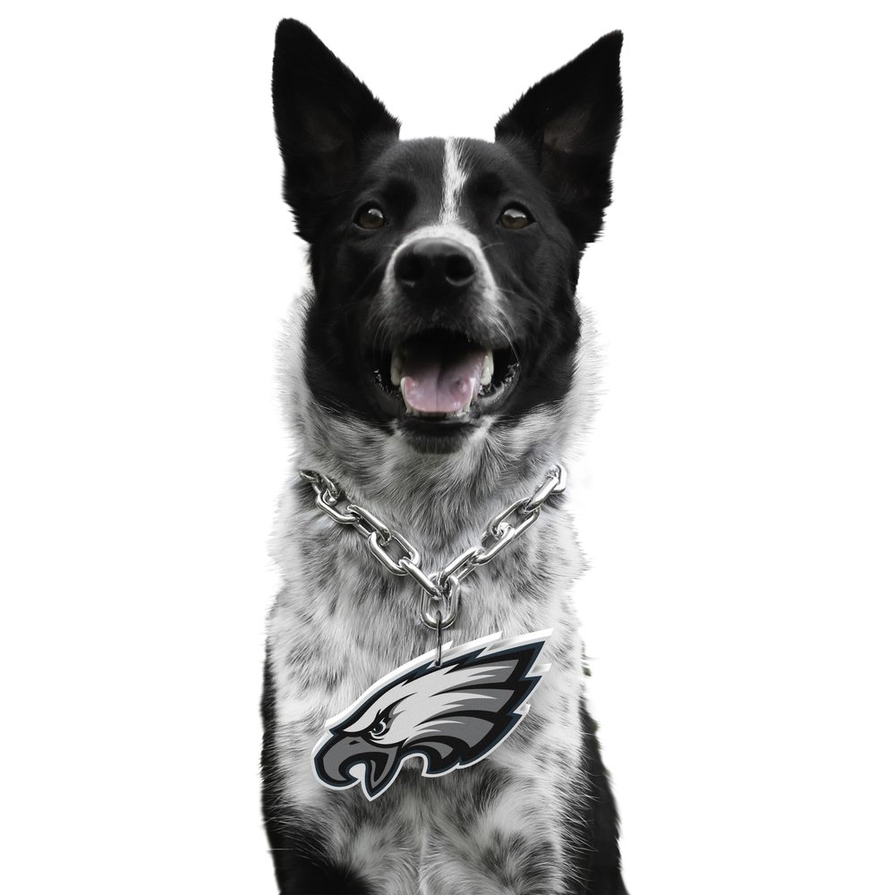 Littlearth NFL Pet Fain Chain Philadelphia Eagles