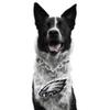 Littlearth NFL Pet Fain Chain Philadelphia Eagles view 1