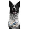 Littlearth NFL Pet Fan Chain Miami Dolphins view 1