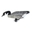 Avery GHG Finisher Swimmer Motion Decoy  Realistic Motorized Waterfowl Decoy with Natural Swim Action and 7-Hour Run Time, Canada Goose view 2