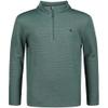IZOD boys Long Sleeve Feeder Stripe Quarter Zip Pullover, Lightweight, Sea Pine, 10-12 view 1