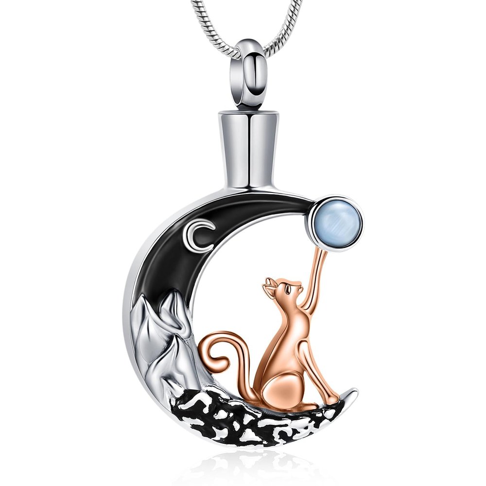 AIWENXI Moon Urns Necklaces for Ashes Cat Cremation Jewelry for Ashes for Men Women Stainless Steel Pet Ash Memorial Cremation Urns Necklaces Pendant Pet Keepsakes Holder Jewelry