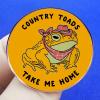 2 Toad Pins Animal Protection Button Pins, COUNTRY TOADS TAKE ME HOME Alloy Pins view 2