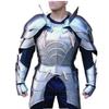 NineFit Basics Medieval Handmade Solid Steel Half Body Plated Armor, Standard, Silver view 1