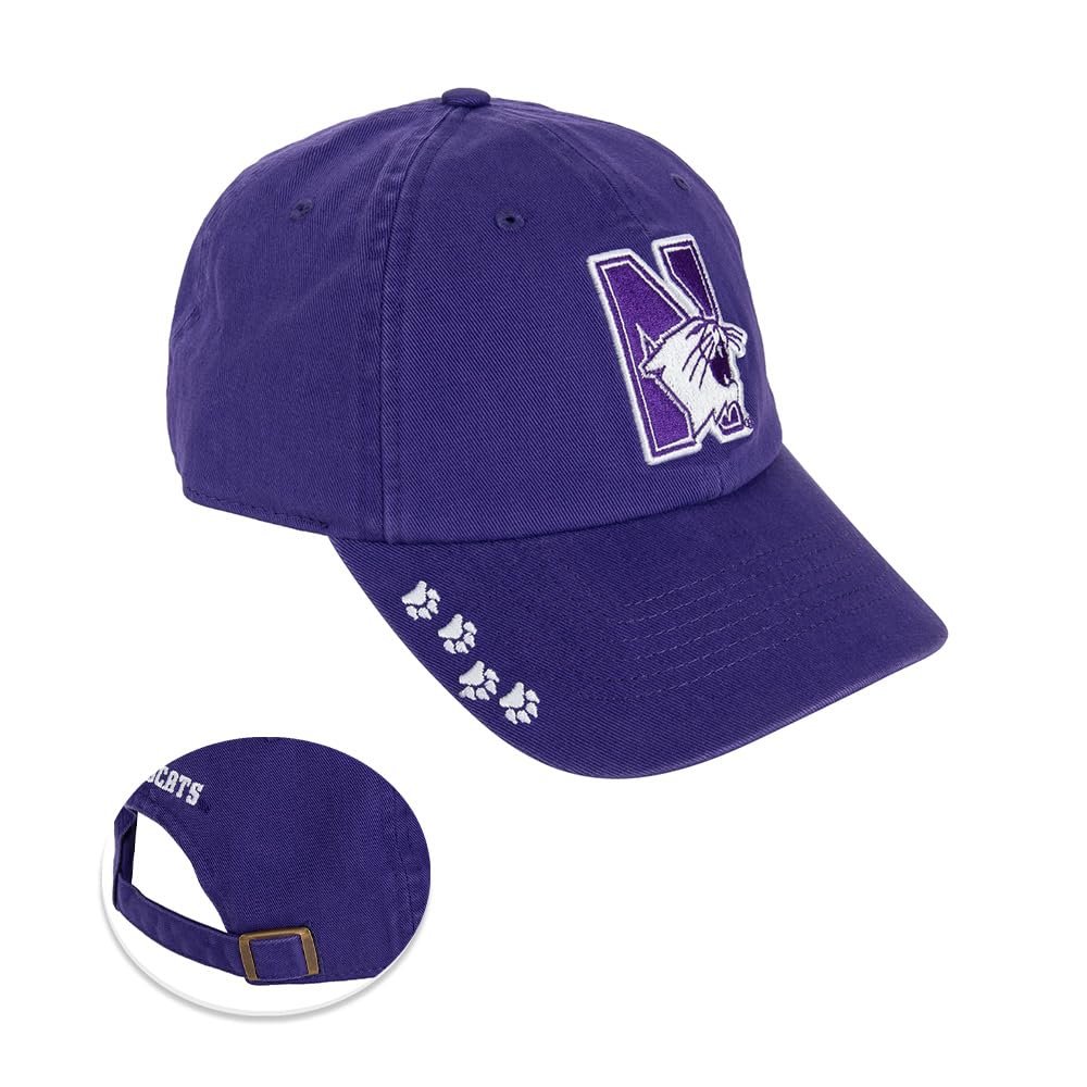 Desert Cactus Northwestern University Baseball Hat NU Wildcats Brimmed Embroidered Hats Cap Adjustable Cloth Strap Adult (Style O) Purple