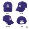 Desert Cactus Northwestern University Baseball Hat NU Wildcats Brimmed Embroidered Hats Cap Adjustable Cloth Strap Adult (Style O) Purple view 3