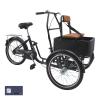 Bruce & Shark Multi-Purpose 3 Wheel Tricycle with Basket, 20 Inches Wheel,Rear Brake,Bearing Weight 330lbs