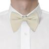 BEWDIO Beige Bow Ties for Boys, Oversized Kids Baby Big Pre-Tied Bowties for Party Wedding (60-10M) view 3