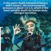 FASHIIROW Diving Ventilator, Diving, Snorkeling for Underwater Sports, with Telescopic Hose, Breathing Regulator, for Underwater Work Breathing(Black,5 Hours) view 4