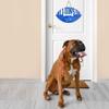 NFL #1 Detroit Lions Best Fan's Football Shape Sign with Dog Bone Design, Sporty Fence Sign, NFL Football Fan Waterproof Wooden Wall Sign, Yard Decor Indoor and Outdoor with Team Logo! view 3