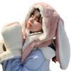 caralin Fashion Teenager Cartoon Plush 3in1 Hats Gloves Scarf Suits Women Winter Outdoor Warm Students Warm Accessories Pink view 1