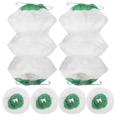 BESPORTBLE 6pcs Gas Lantern Mantles Mesh for Enhanced Brightness Easy Installation for Camping and Emergency Use Uniform Light Dispersion