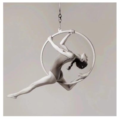 Lyra Hoop Aerial Hoop Set, Complete Aerial Ring Set for Beginners Professionals with Fixing Plate, Easy to Install(Size:90cm(35.5in),Color:2.5cm)