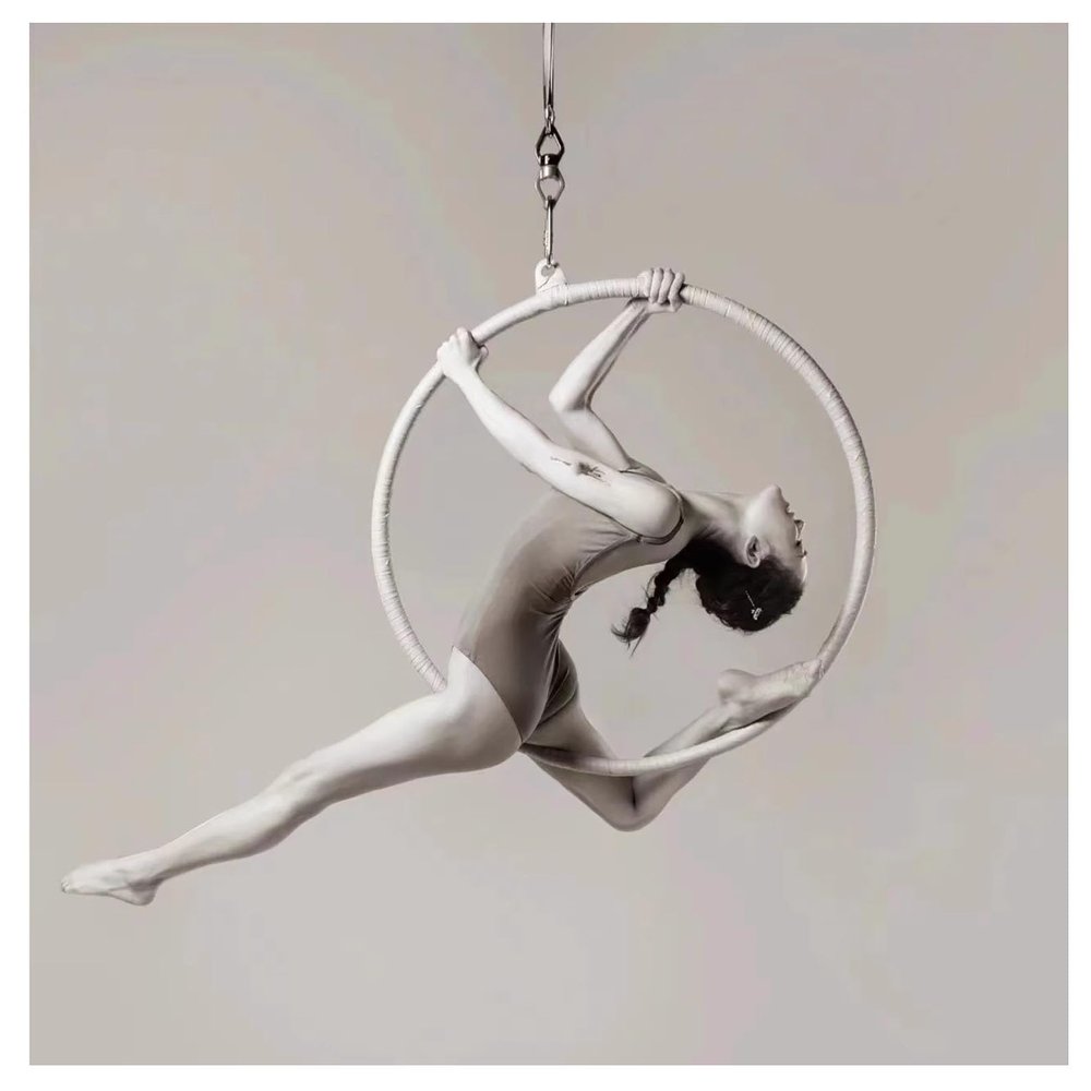Lyra Hoop Aerial Hoop Set, Complete Aerial Ring Set for Beginners Professionals with Fixing Plate, Easy to Install(Size:90cm(35.5in),Color:2.5cm)