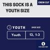 For Bare Feet - NFL MVP Classic Team Logo Youth Size Kids Crew Socks Approx. 4-8 years old - Dallas Cowboys view 3