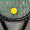 Tennis Dampener Cute/Funny 5 Pack Tennis Ball B Tennis Racket Vibration Dampener Soft Silicone Tennis Racquet Shock Absorbing Tennis Damper Tennis Racket Shock Absorber (5 Pack Tennis Ball B) view 2