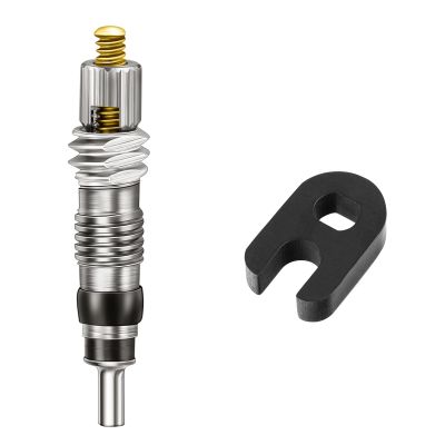 HZJD Brass Presta Valve Core Bike, Gray(2 Pack)