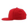 Florida Panthers NHL Officially Licensed Adjustable Snapback Hat Flat Bill Z11 Icon Team Color view 3