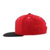 Chicago Blackhawks NHL Officially Licensed Adjustable Snapback Hat Flat Bill Z11 Icon Two Color view 3