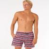 16" Fun Times Volley Boardshorts, Swim Trunk with Pockets