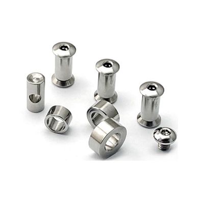 Echeson 1 Set Custom Titanium Screw Fits for Chris Reeve Large Sebenza 21, CNC Scales Handle Screws DIY Replacement Accessory(Silver)