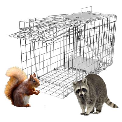 GHYKL Live Animal Cage Trap, 31" x 11" x 12" Heavy Duty Folding Raccoon Traps, Humane Cat Trap for Stray Cats, Raccoons, Squirrel, Skunk, Mole, Groundhog, Armadillo, Rabbit
