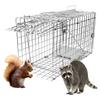 GHYKL Live Animal Cage Trap, 31" x 11" x 12" Heavy Duty Folding Raccoon Traps, Humane Cat Trap for Stray Cats, Raccoons, Squirrel, Skunk, Mole, Groundhog, Armadillo, Rabbit view 1