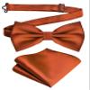 Branduce Rust Bow Tie and Pocket Square Set for Men Wedding Silk Pre-tied Adjustable Bow tie Handkerchief (BB01-33) view 1