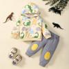 2T Boys Clothes Baby Boy Fall Clothes Baby Toddler Outfits Long Sleeve Hoodie Sweatshirts Tops Pants Set, Beige Boys Dinosaur Outft 2-3T view 2