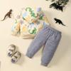 2T Boys Clothes Baby Boy Fall Clothes Baby Toddler Outfits Long Sleeve Hoodie Sweatshirts Tops Pants Set, Beige Boys Dinosaur Outft 2-3T view 3