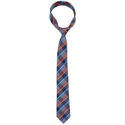 HEEPDD Mens Neck Tie Classic Polyester Silk High Density Tie for Wedding Party Business Meeting 1 Piece