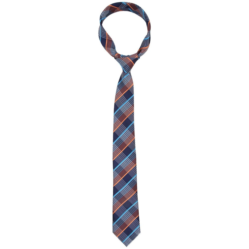 HEEPDD Mens Neck Tie Classic Polyester Silk High Density Tie for Wedding Party Business Meeting 1 Piece