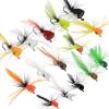 Ghanneey 15pcs Fly Fishing Poppers Fly Fishing Dry Flies Topwater Fishing Lures Bass Popper Flies Bugs Lures Panfish Bait Fly Trout Bobber Flies Kit for Bass Trout Panfish Bluegill Salmon view 1