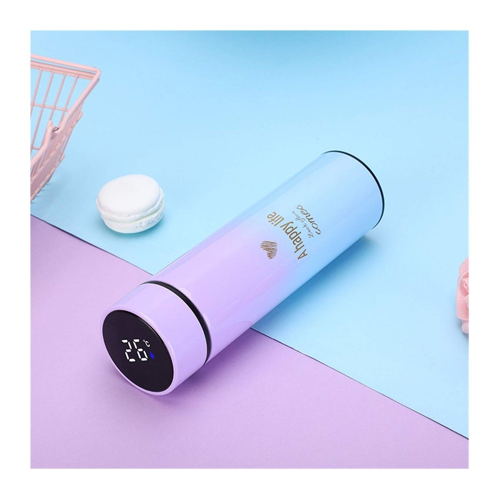 Gradient Color Display Temperature Cup Outdoors Sports Bottle Stainless Steel Water Bottle 500ML (Color : 4) (3)