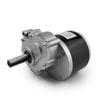 10 Inch Wheel 24V 500W Dual Drive Motor Kit 4.10-4 Off-road Tire 2WD Joystick For Trolley Cart Bike (R J, Max speed 4kph) view 4