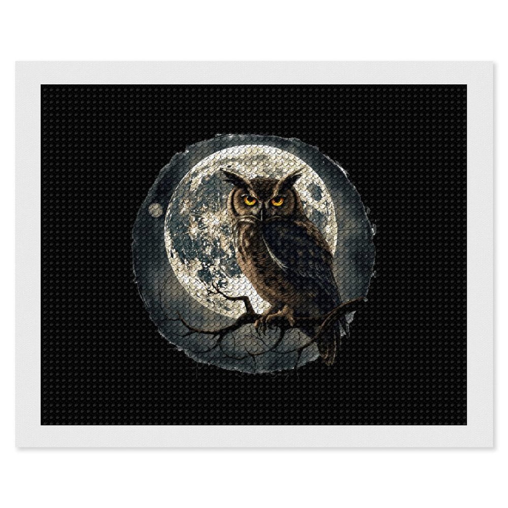 Moon Owl Birds Diamond Painting Adults Round Diamonds Pictures Crafts Kits for Home Wall Decoration 16"x20"